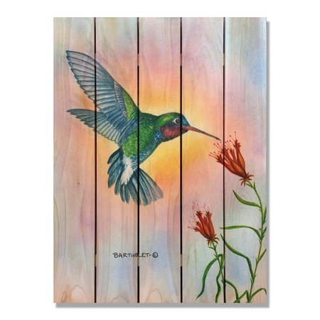 RICKI&APOSS RUGS 28 x 36 in. Bartholets Broadbill Inside & Outside Cedar Wall Art RI894609